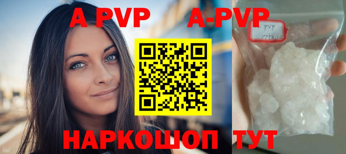 Alfa_PVP СК КРИС Отрадный