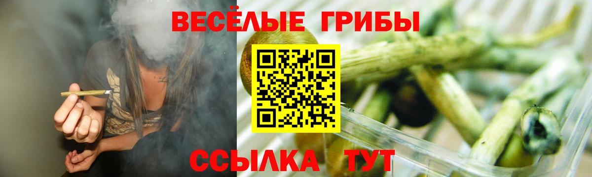 Псилоцибиновые грибы Cubensis Отрадный
